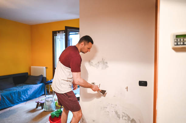 Best Mold Cleaning Services  in Valley Stream, NY