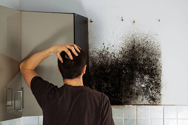 Home Mold Removal in Valley Stream, NY